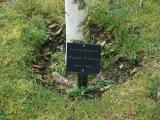 image number Broom William E 128